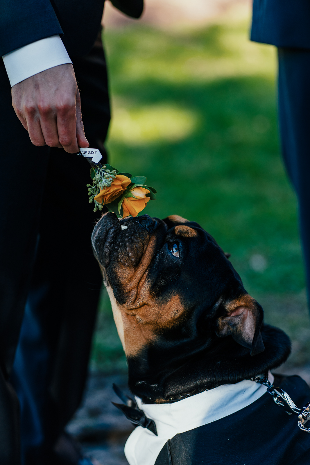 Wedding photography 46